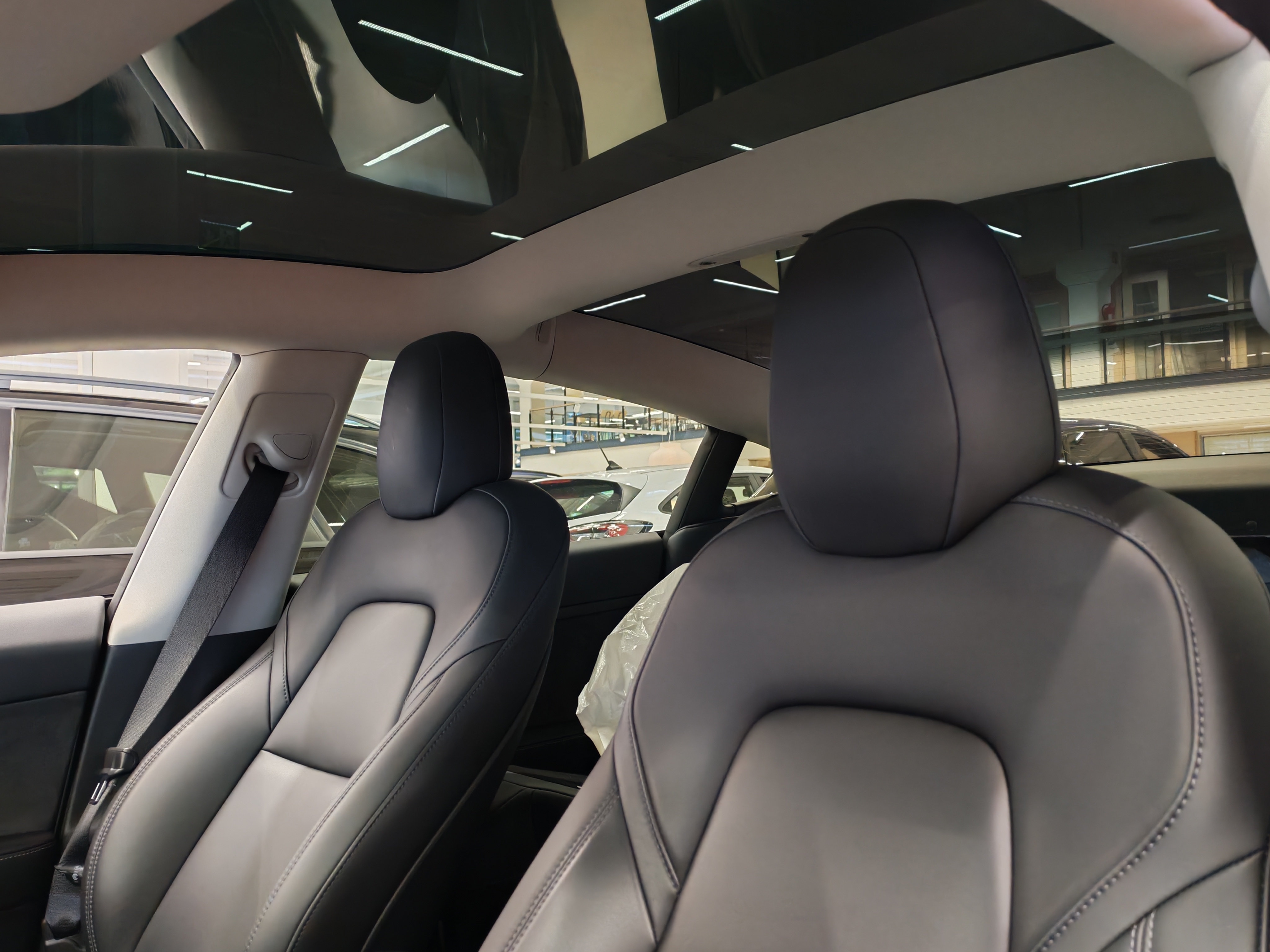 Tesla MODEL 3 STANDARD RANGE PLUS