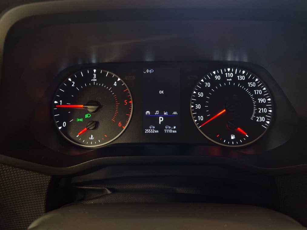 Renault TRAFIC COMBI BLUE DCI 150 EDC-AUT. L2H1